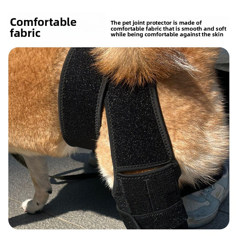 Buddies Dog Leg Protection Sleeve — Anti-Lick Wound Cover for Healing Legs & Post-Op Recovery (S–L) | Kinder Cone Alternative