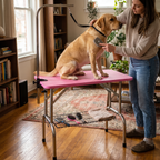 Foldable Pet Grooming Table with Adjustable Height
