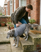 Owner helping a senior golden retriever down front UK terrace steps with a padded rehabilitation sling