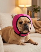 A french bulldog resting on a sofa wearing padded noise reduction ear defenders