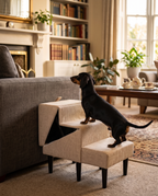 A dachshund climbing folding non-slip pet steps up to a sofa