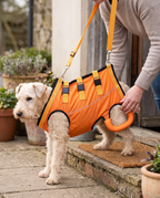 A small terrier supported in an adjustable rehabilitation sling being helped up a step