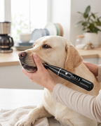 An ultrasonic dog tooth cleaner in use on a calm labrador's teeth