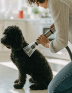 An owner grooming a cockapoo with a vacuum grooming tool on a spotless kitchen floor