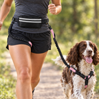 Hands-free leash waist belt and bungee lead with a springer spaniel