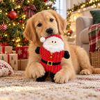 Golden retriever puppy with a plush Santa dog toy by the Christmas tree
