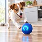 Jack Russell pouncing on the interactive rolling ball