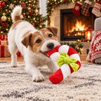 Terrier playing tug with a Christmas rope knot toy