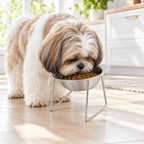 Shih Tzu eating from the raised tilted stainless steel dog bowl