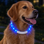 Close-up of a rechargeable LED dog collar glowing at night