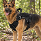 German shepherd wearing the black tactical dog harness on a woodland trail