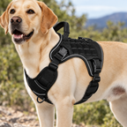 Close-up of the tactical dog harness buckles and padding