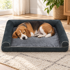 Beagle asleep on the bolster sofa dog bed