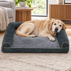 Senior labrador resting its head on the bolster sofa dog bed